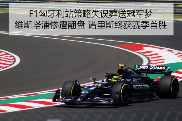 F1匈牙利站策略失误葬送冠军梦 维斯塔潘惨遭翻盘 诺里斯终获赛季首胜